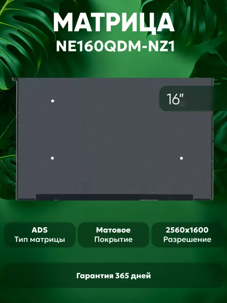 Batme Матрица для ноутбука NE160QDM-NZ1 16", матовая