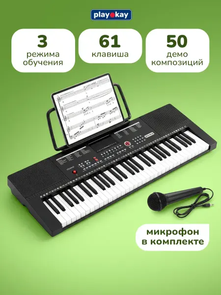 Playokay Синтезатор для начинающих с микрофоном 61 клавиша