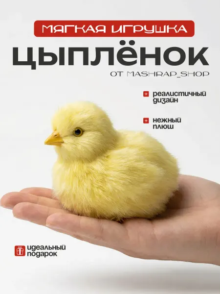 Mashraf_Shop Мягкие игрушки цыплёнок