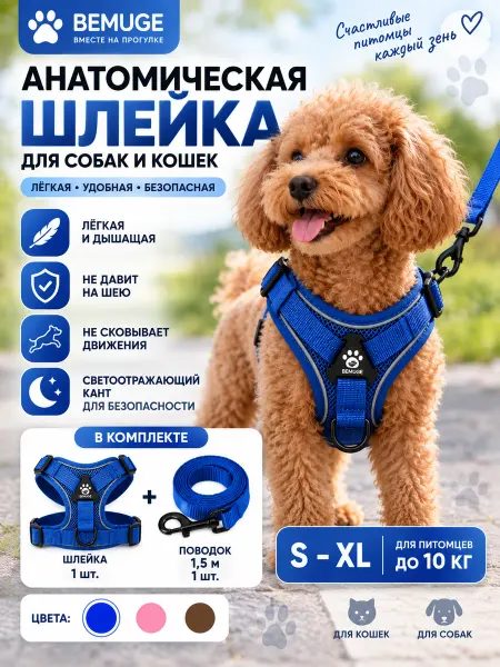 Анатомическая шлейка с поводком 1.5м для собак и кошек S-XL
