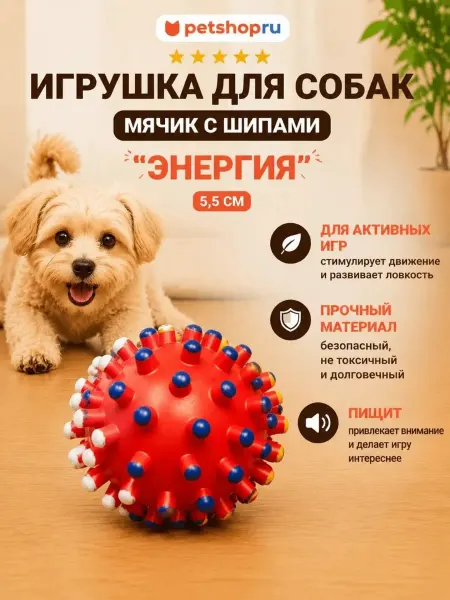 PetShop Игрушка для собак мячик с шипами "Энергия", 5,5 см