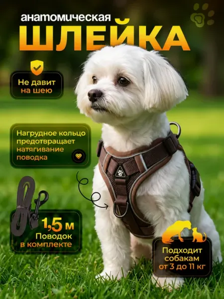 BobiDog Шлейка для собак мелких средних пород и кошек с поводком