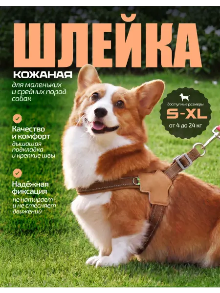 SP-DoGs Шлейка для собак мелких и средних пород