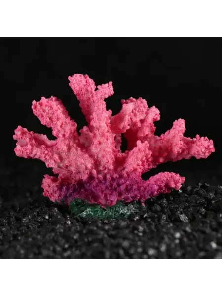 Пижон Аква Декоративный коралл Синулярия для аквариума 10х5 см