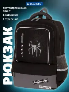 Рюкзак школьный для мальчиков ортопедический Brauberg Star, Spider, черный, 40х29х13 см