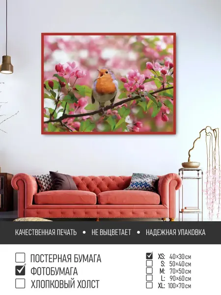 ПолиЦентр Постер на фотобумаге Птица на ветке яблони, 40х30 см