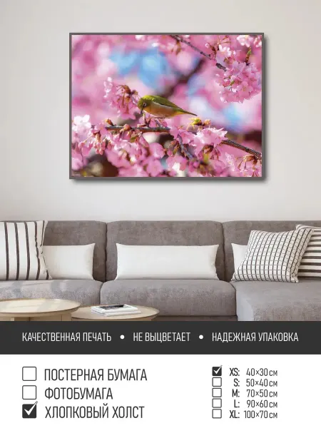ПолиЦентр Постер на фотобумаге Птичка на ветке сакуры, 40х30 см