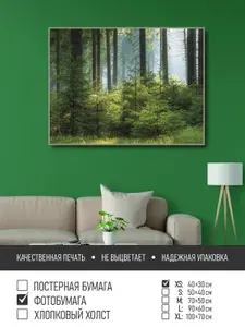 Постер на фотобумаге Солнечный еловый лес, 40х30 см ПолиЦентр