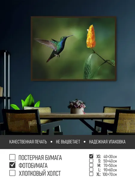 ПолиЦентр Постер на фотобумаге Птичка колибри в полете, 40х30 см