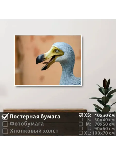 ПолиЦентр Постер на стену "Мифическая птица до до" 40х30 см