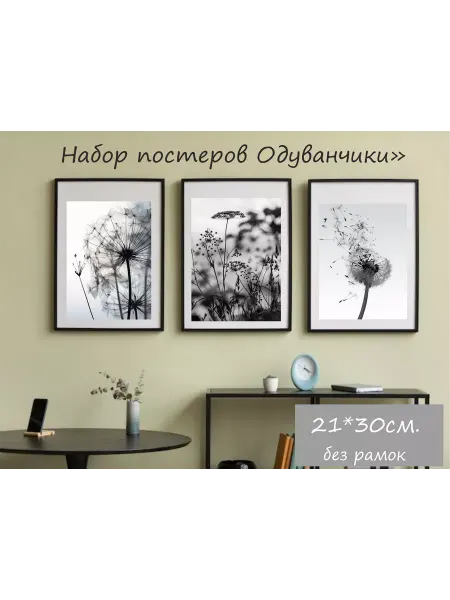 РусСервис Постеры черно-белые цветы Одуванчики 3 шт 21*30 см