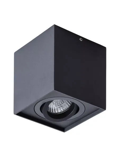 Arte Lamp Потолочный светильник Factor A5544PL-1BK