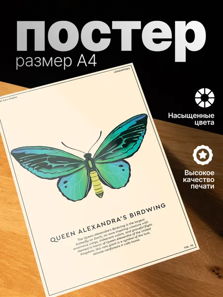 Постер ZEKEKS "Бабочка", на стену, без рамы, цифровая печать, 21x29