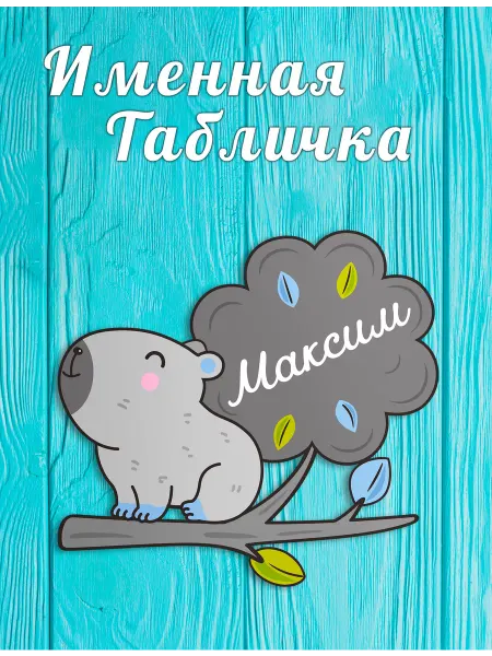 БОНПРЕ Именная табличка в детскую Максим