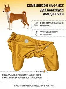 Комбинезон на флисовой подкладке для басенджи, для девочки