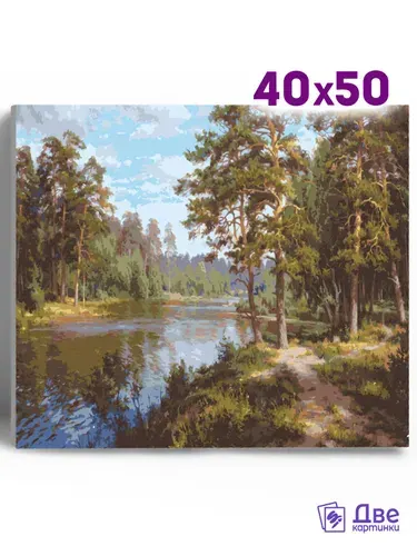 Картина по номерам Пейзаж, Природа, Лес на холсте 40х50 с подрамником
