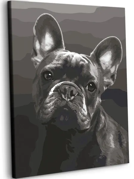Art on Canvas Французский бульдог Картина по номерам на холсте 40х50 см