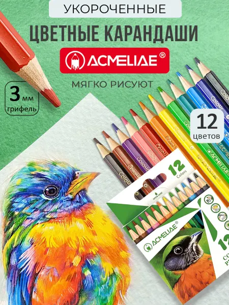 ACMELIAE Карандаши цветные укороченные 12 цветов