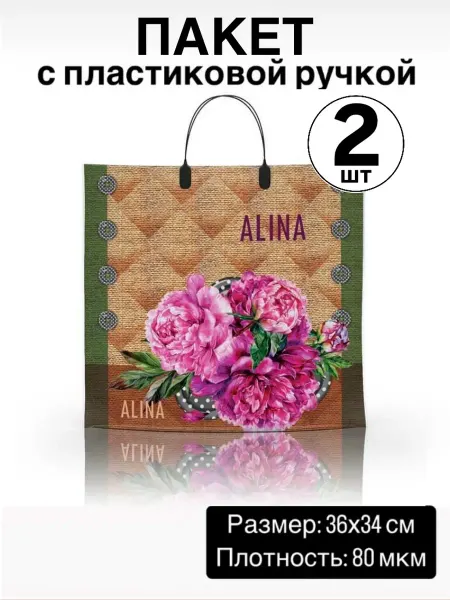 Пакет с пластиковой ручкой "Алина" набор 2 шт