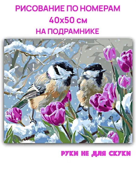 Руки не для скуки Картина по номерам 40х50 см на подрамнике Птицы PWA0086