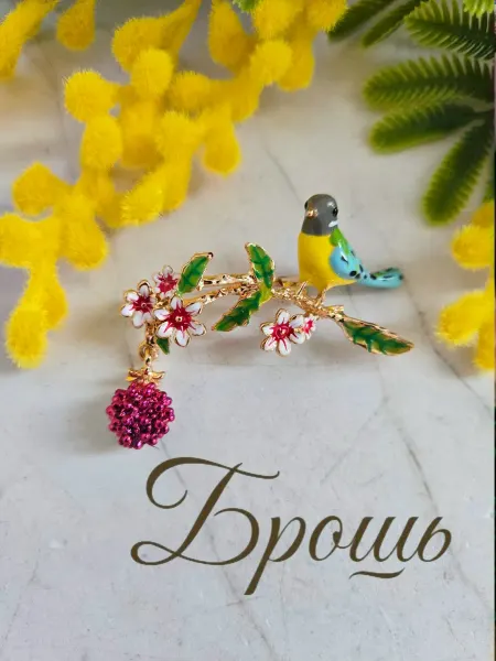 Raida Blaut Брошь оригинальная женская птица весна