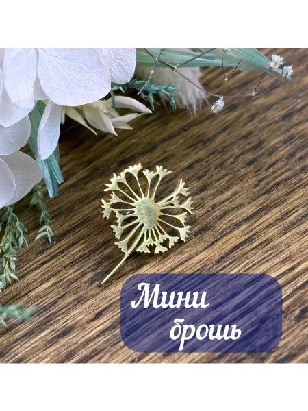 S&M beauty Брошь женская стильная