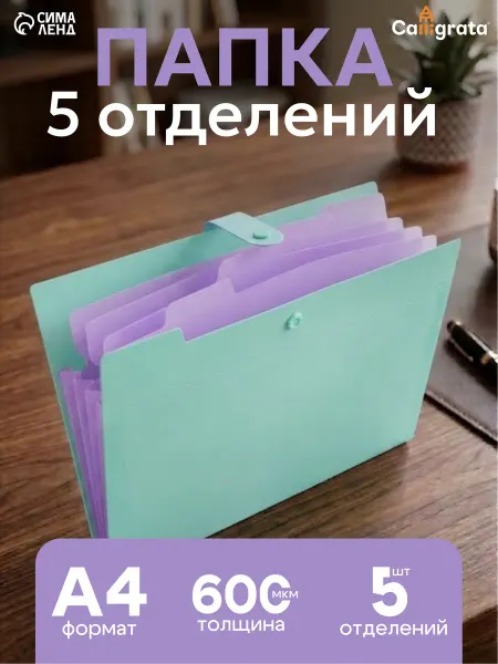 Calligrata Папка А4 на кнопке, 5 отделений, матовая