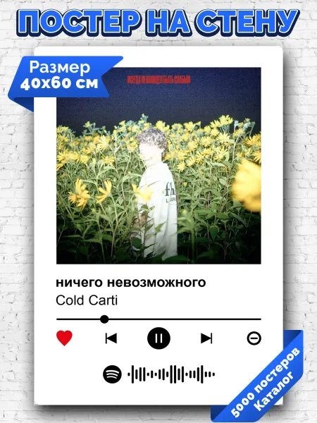 Arthata-spotify постер Спотифай постер Спотифай плакат Cold Carti - ничего невозможного 40х60