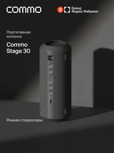 Commo Портативная колонка STAGE 30, мощность 30Вт, графитовый
