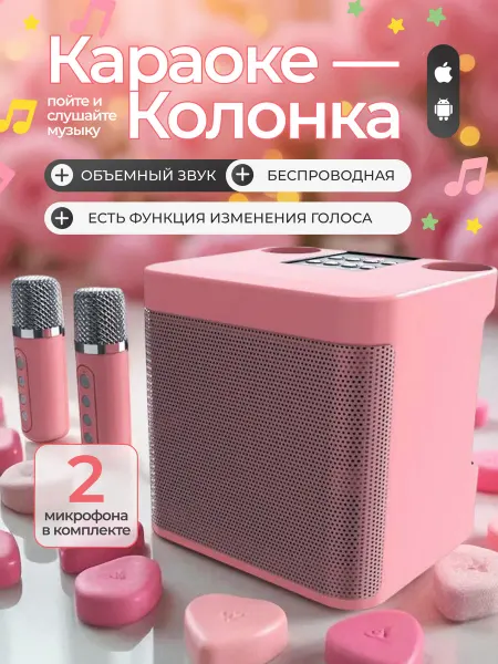 BRAICL Караоке колонка с двумя микрофонами беспроводная система