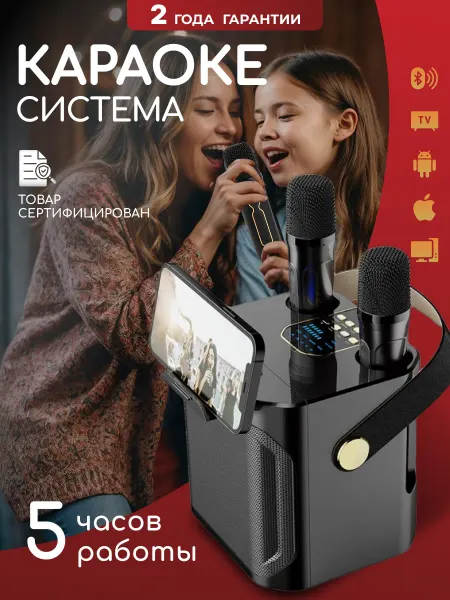 DomDay Караоке система, беспроводная колонка с двумя микрофонами