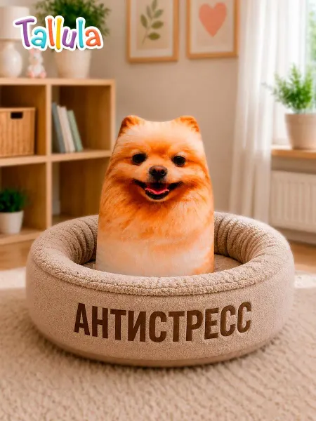 Tallula Шпиц мягкая игрушка собака антистресс подушка, 17 см