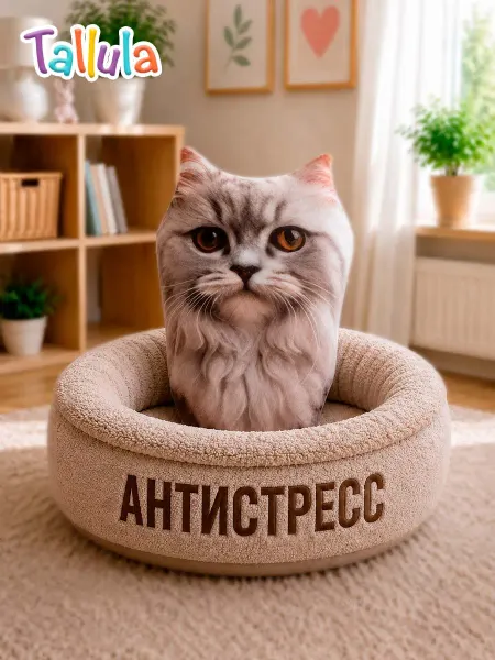 Tallula Кот дымчатый мягкая игрушка антистресс подушка, 21 см