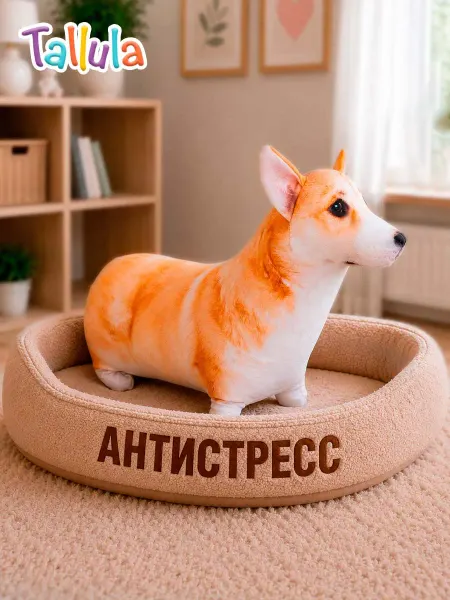 Tallula Корги мягкая игрушка собака антистресс подушка, 35 см