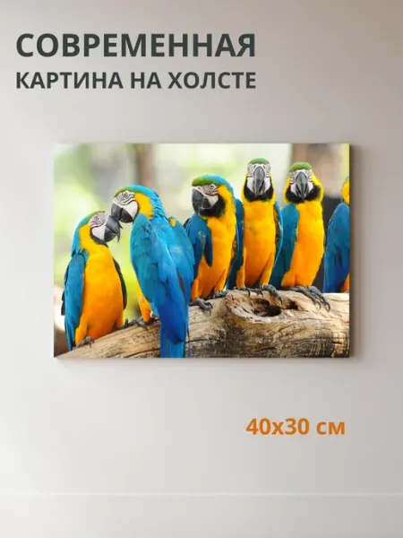 DZiVA Картина на холсте Попугаи 40x30 см