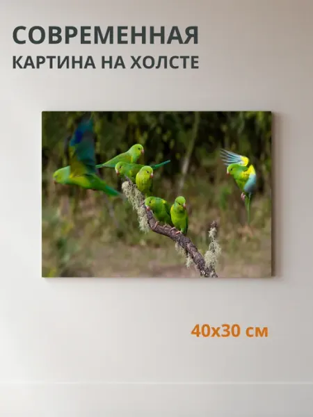 DZiVA Картина на холсте Птицы на ветке 40x30 см