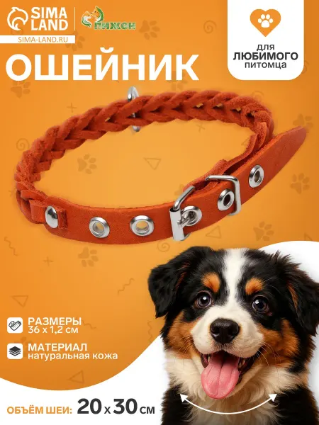 Пижон Ошейник кожаный плетеный, 1,2 х 36 см, ОШ 20-30 см, рыжий