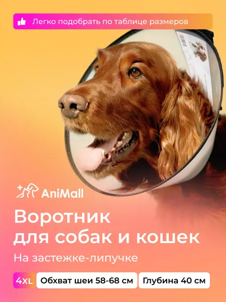 AniMall Воротник защитный для собак и кошек № 40 см, на липучке