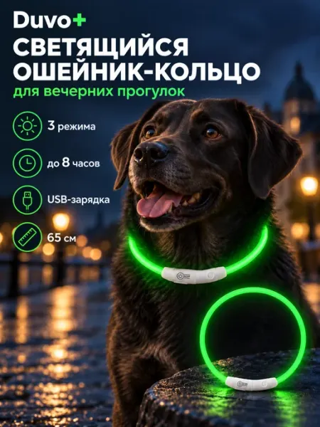 DUVO+ Ошейник для собак нейлоновый, светящийся, оранжевый, 65см