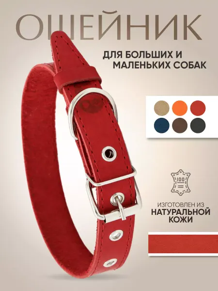 Dear Dog Ошейник для собак из натуральной кожи