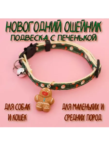 Dream Team Новогодний ошейник с подвеской