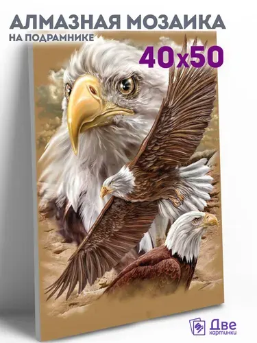 Алмазная мозаика на подрамнике Орёл крупным планом 40x50 см