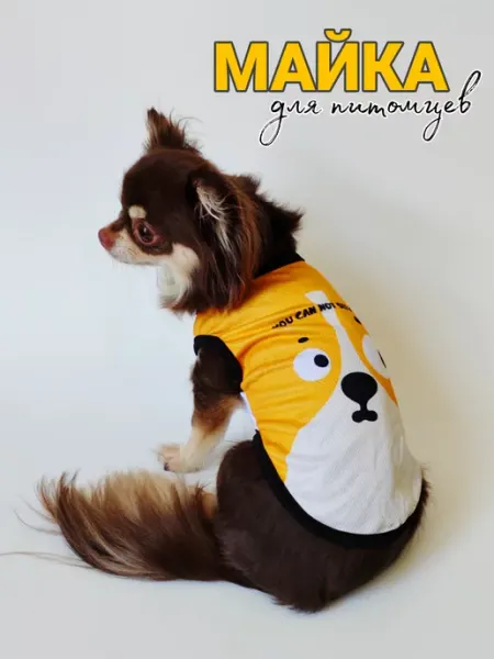 HoneyPet Майка для кошек и собак мелких пород