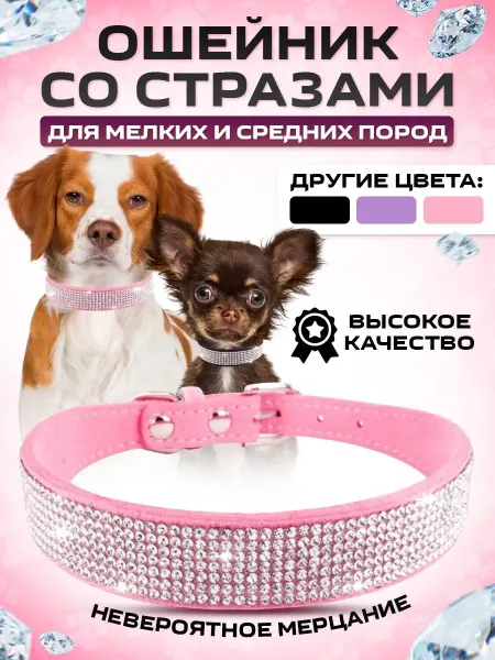 IBEO Кожаный ошейник для собак и кошек