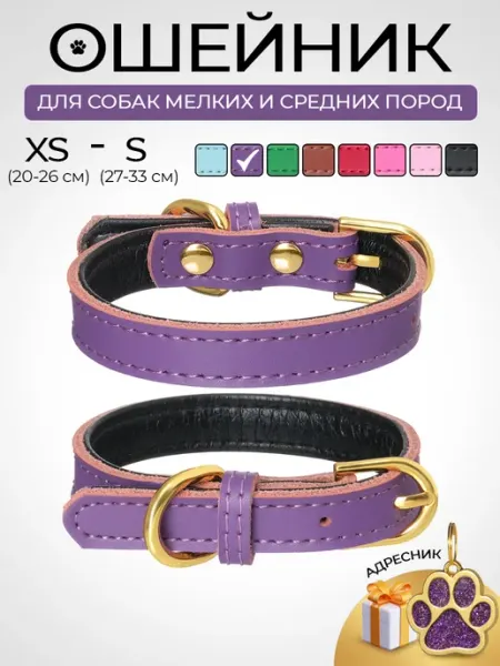 Сosmic Love Ошейник для собак мелких пород и щенков с адресником