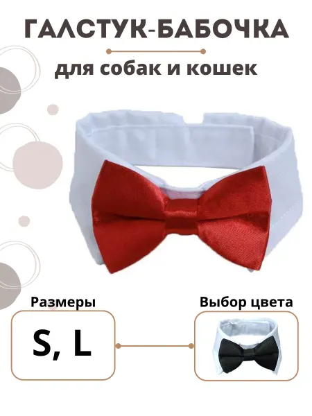 MIRA+ZAK Ошейник с галстуком для животных
