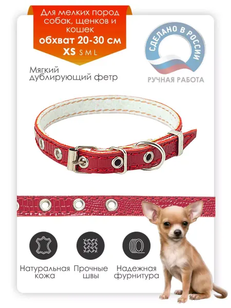 MonShop Ошейник для собак мелких и средних пород кожаный