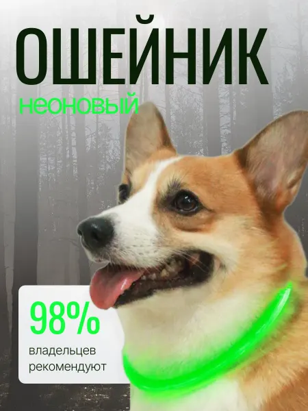 PeoplePet Ошейник светодиодный с usb зарядкой
