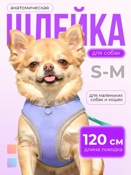 RABICK PETS Шлейка для собак мелких пород и кошек