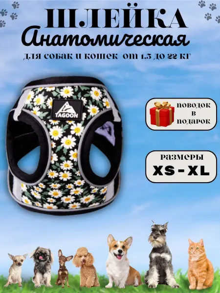 Sofi&Katy Shop Шлейка для собак мелких средних пород и кошек с поводком